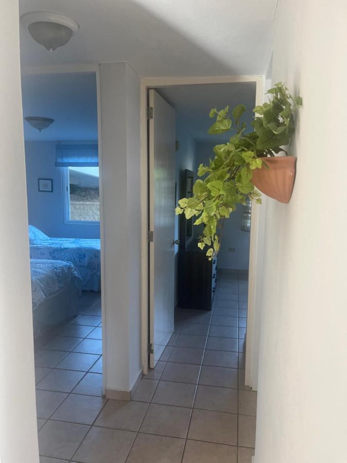 Relaxing Hillside Village Apartment Rio Grande Esterno foto